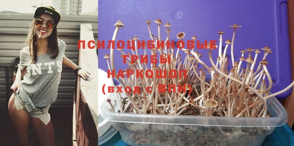 спайс Белокуриха