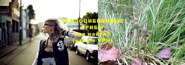 спайс Белокуриха